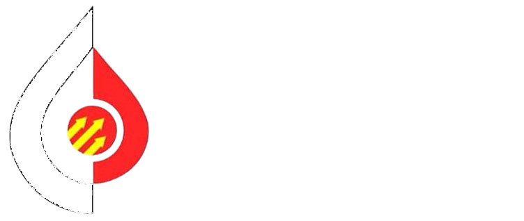 logo-pedienergy-footer